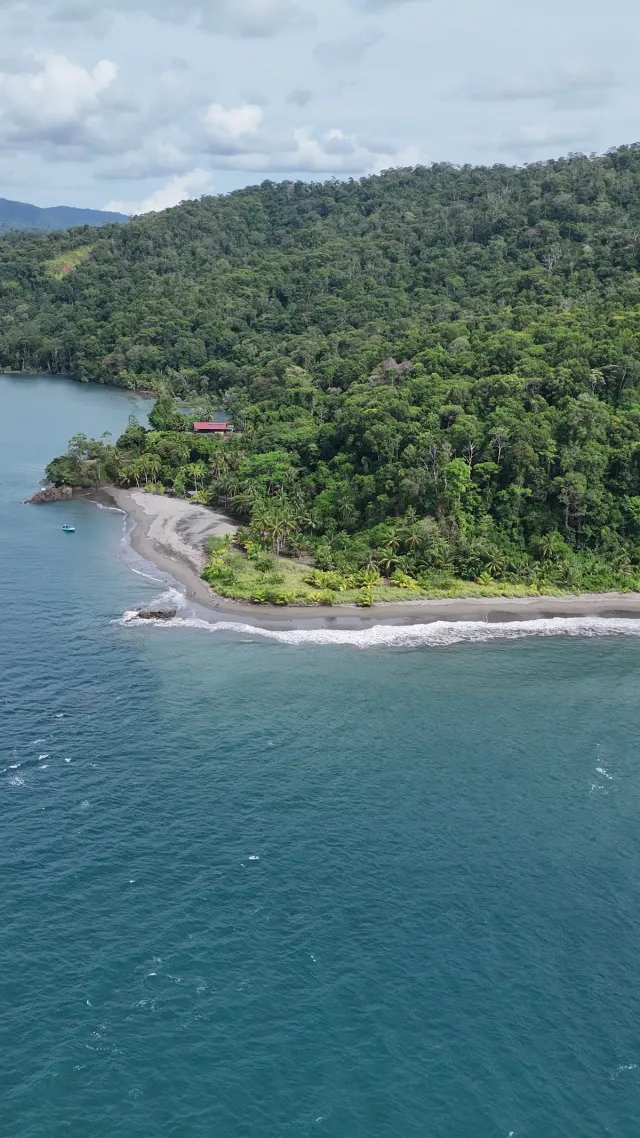 Mangrove & Beach Safari — Sierpe Tours