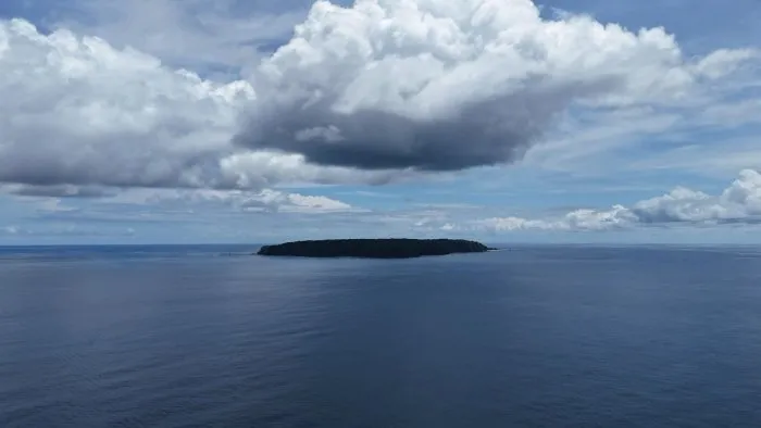 Isla del Caño Snorkeling Tour — real moment 5