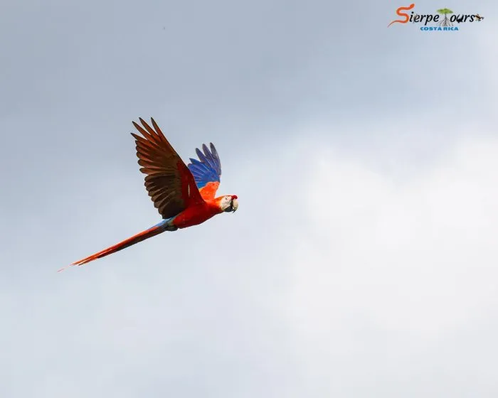 Mangrove & Beach Safari — real moment 4